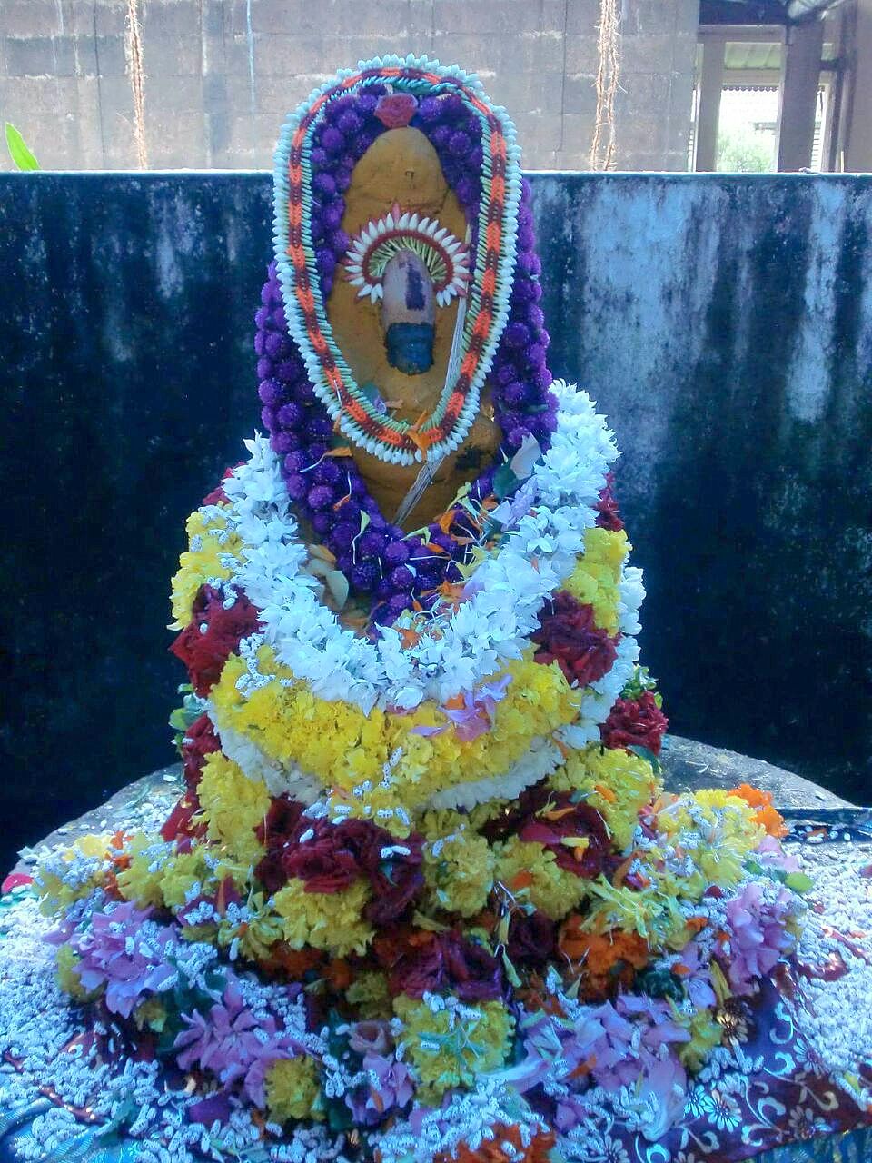 Festival Special – Nag&nbsp;Panchami